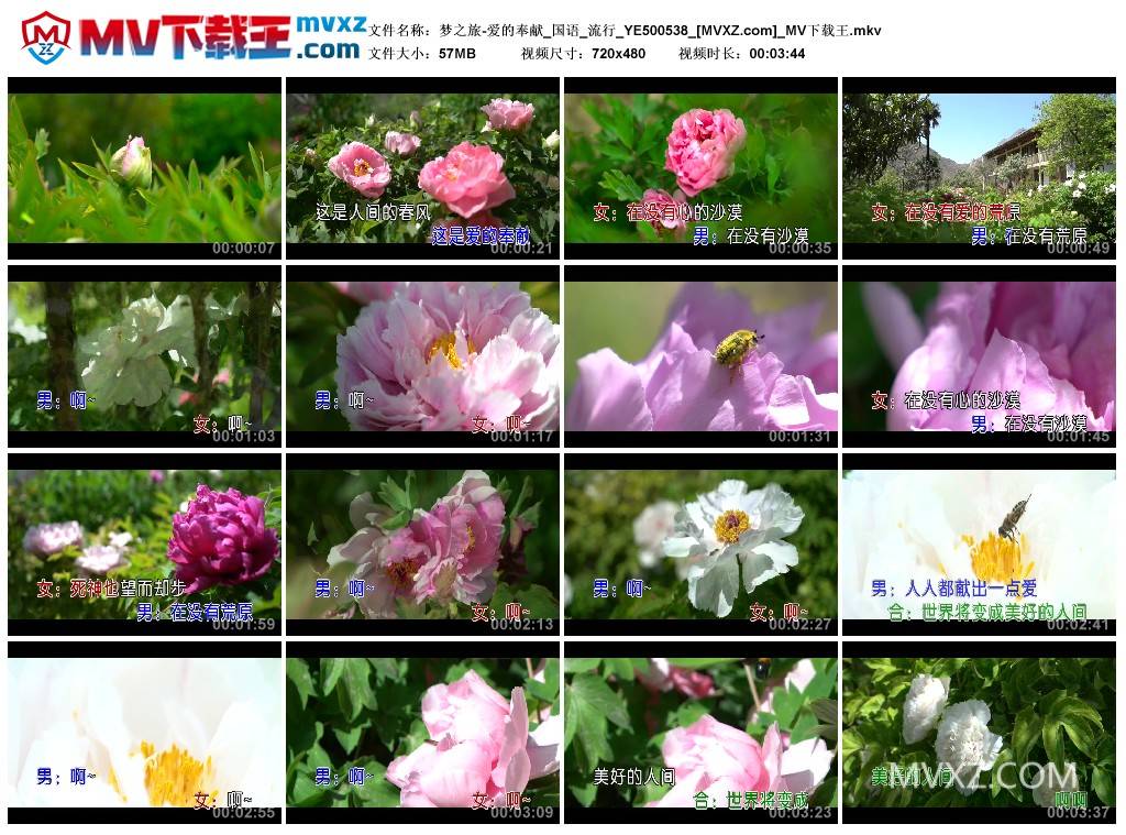 梦之旅-爱的奉献_国语_流行_YE500538